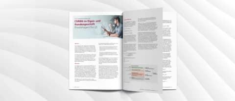 CSRBB im Eigen- und Kundengeschäft Praxisfragen (Teil 2)