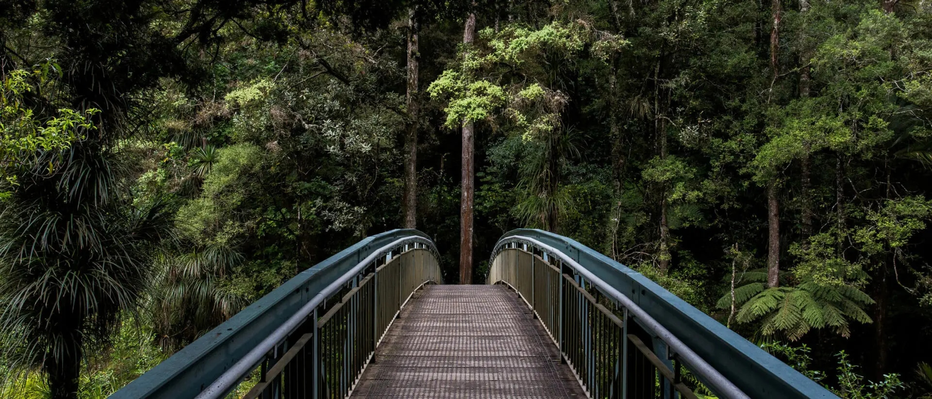 Auf der Suche nach geeigneten Klima KRIs