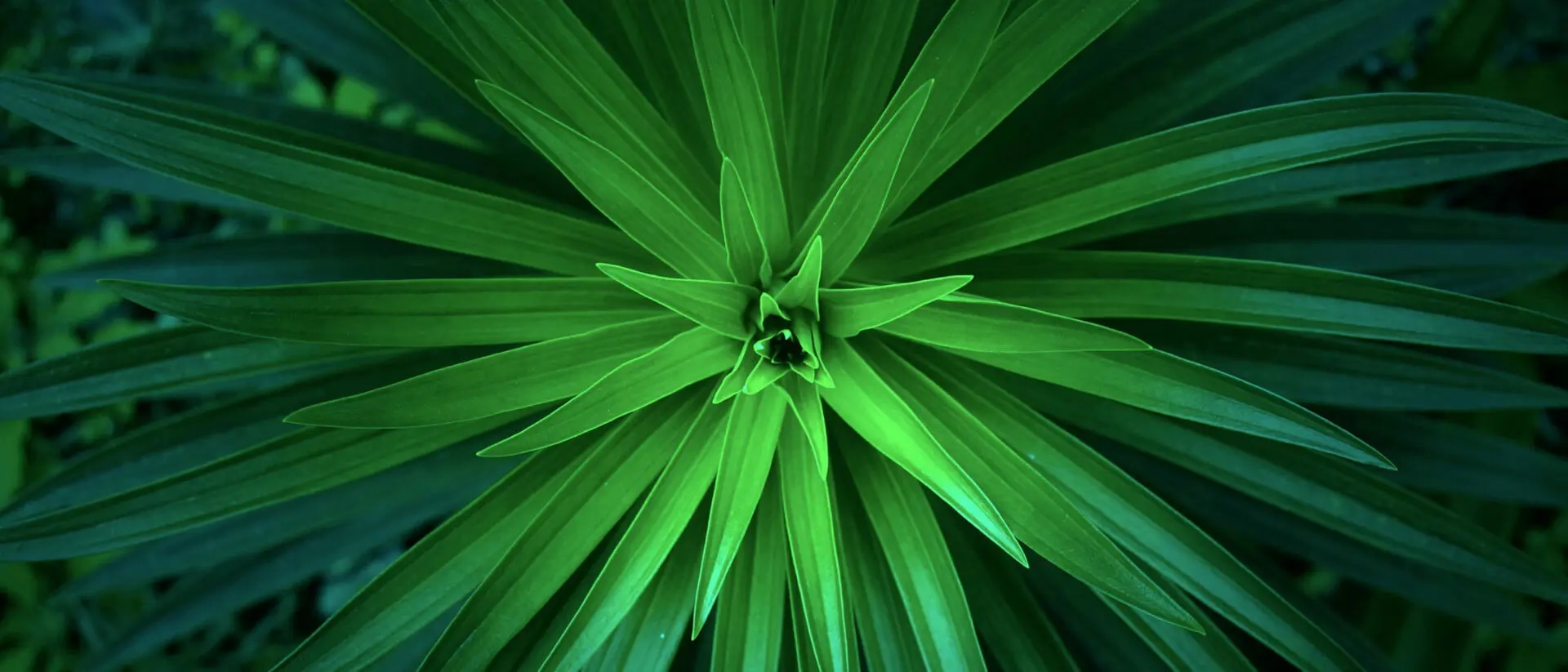 Interne Revision trifft ESG: Nachhaltigkeit als Prüfstein der Zukunft