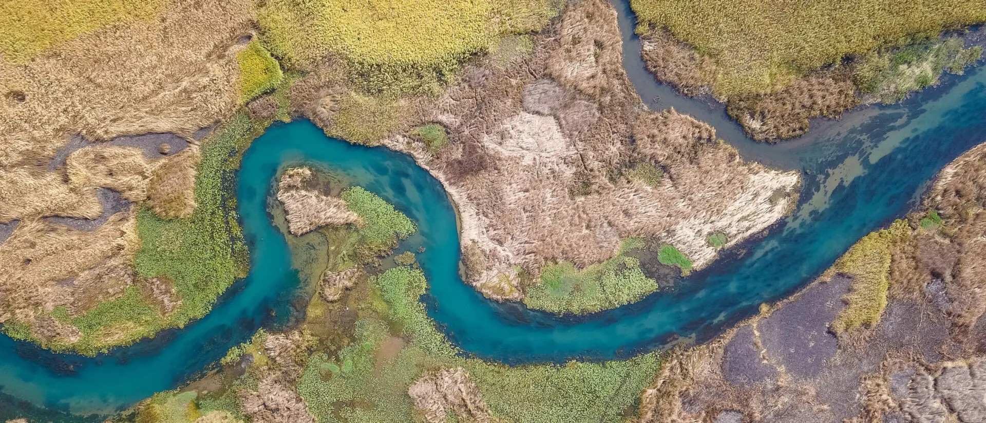 Von 0 auf 47 in einer Novelle – Die BaFin gibt bei ESG-Risiken Gas