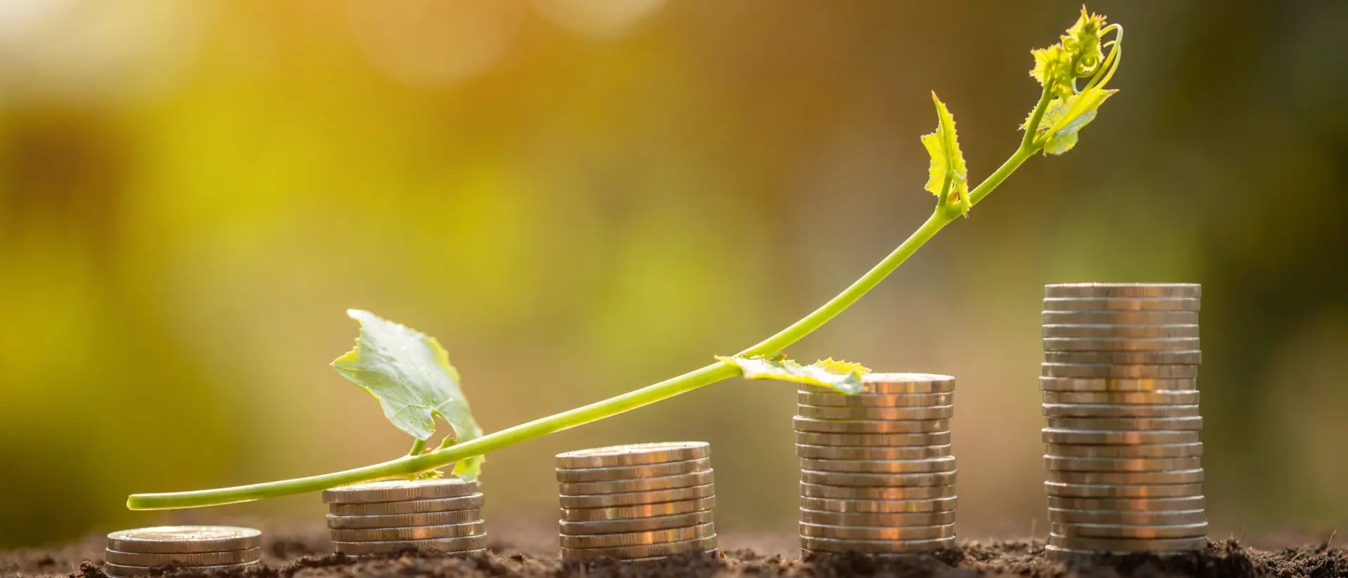 ESG Faktoren und regulatorische Vorgaben in der Kreditvergabe