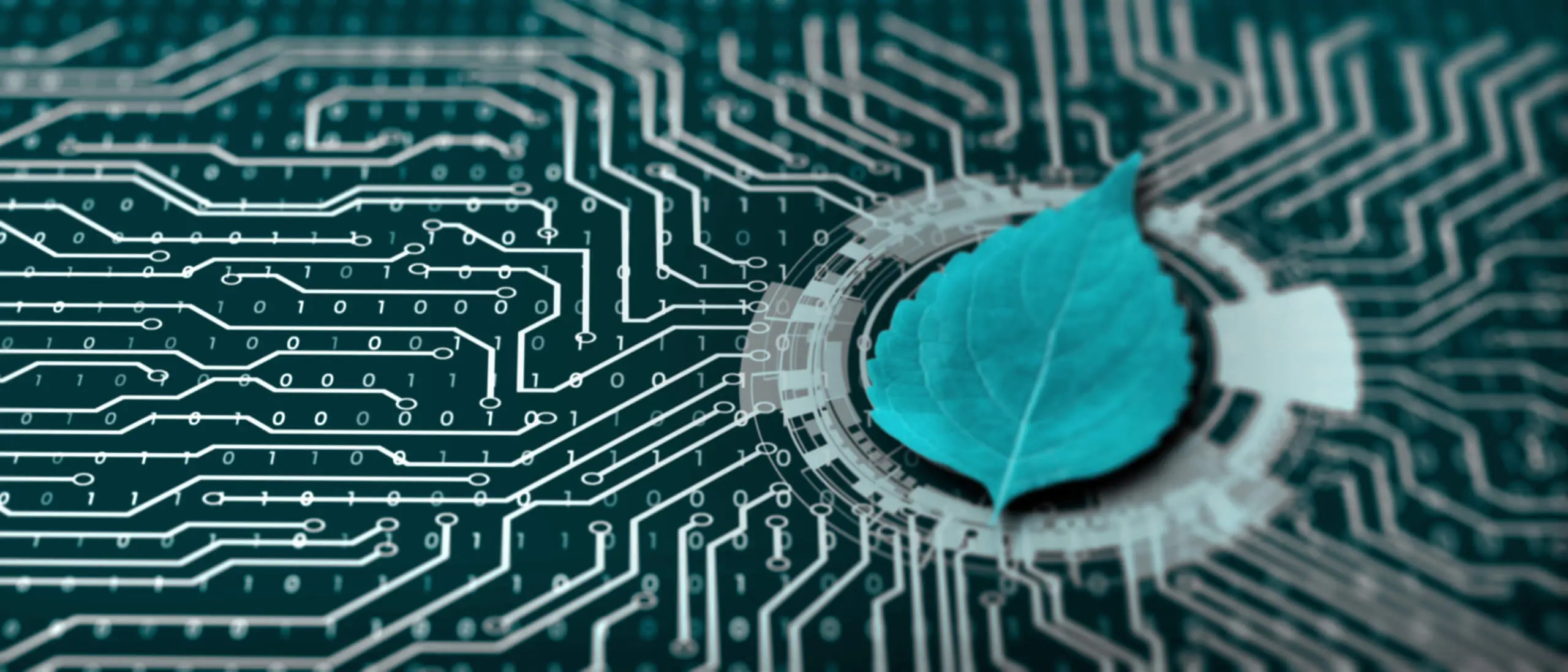 Green IT und Green Coding - Die Bedeutung von nachhaltiger IT steigt.