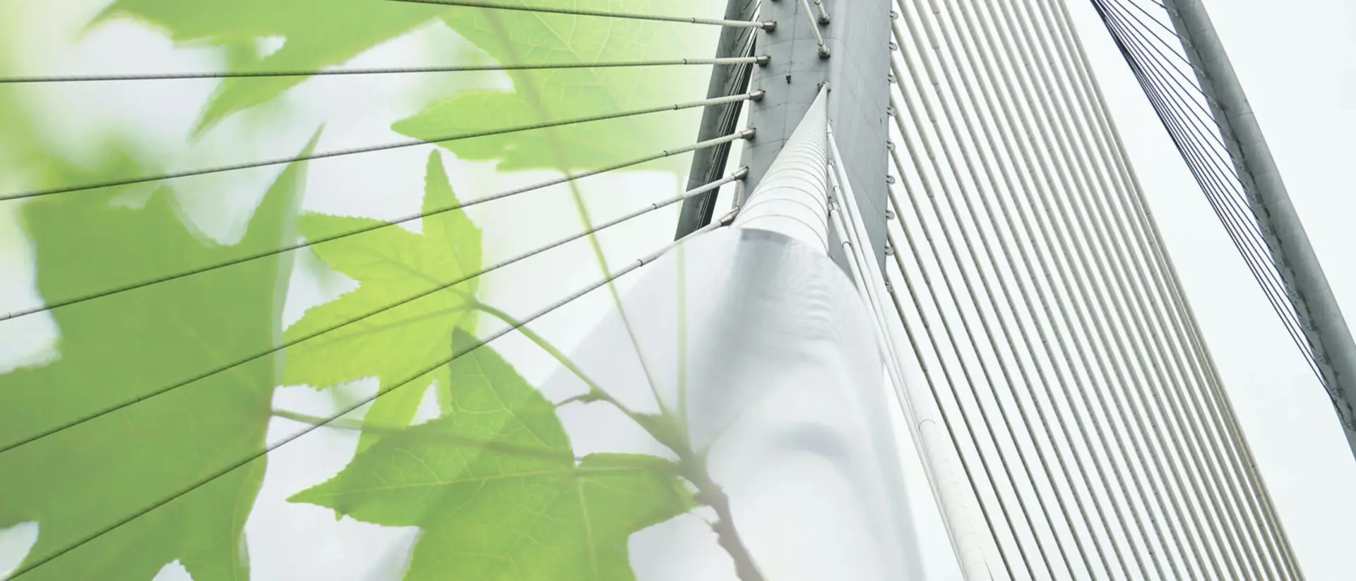 Eigenkapitalunterlegung von Nachhaltigkeitsrisiken?