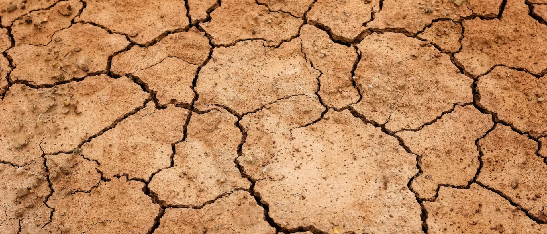 Klimastresstesting - Was Banken aus den Erfahrungen der Versicherer lernen können