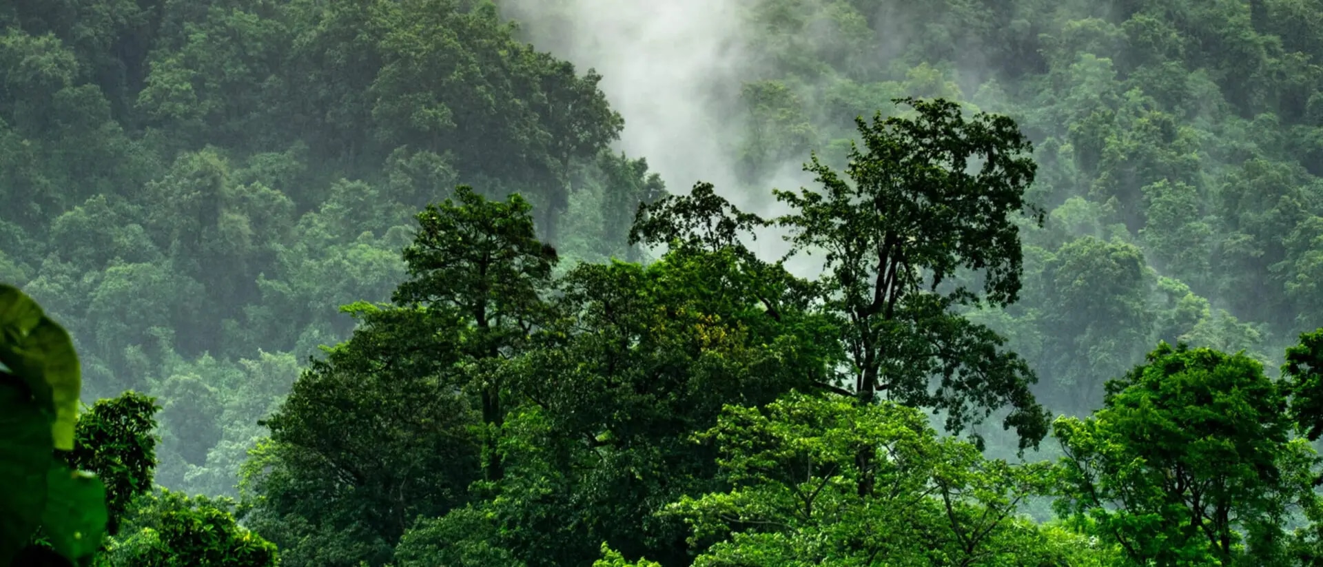 Sustainable Banking - Blitzlichter des Status quo