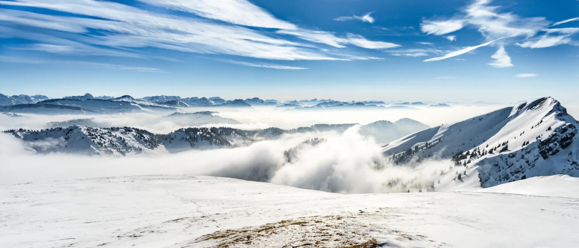 Klimaschutz – So wichtig ist eine transparente Nachhaltigkeitsstrategie