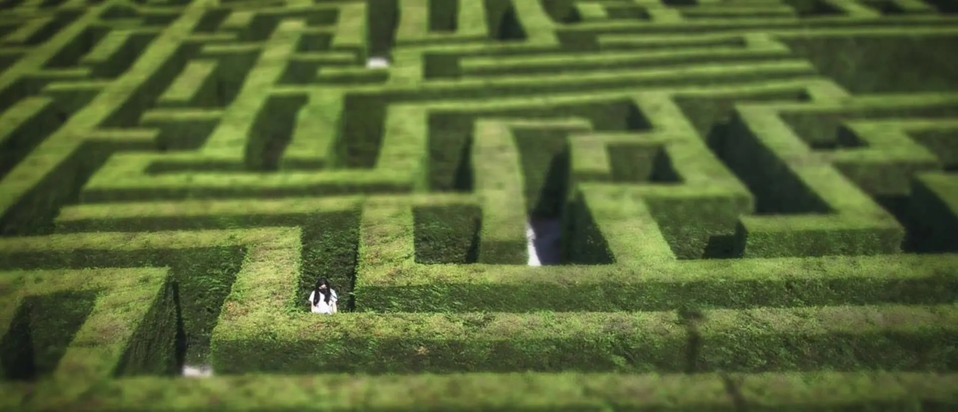 Auslagerungsstrategie – regulatorisch gefordert, wirtschaftlich wertvoll!