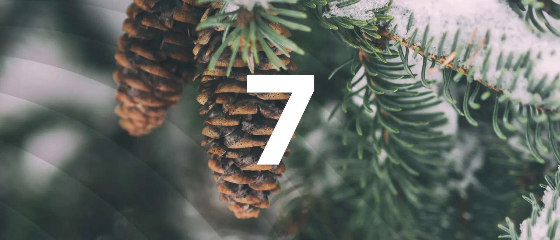 Türchen 7: Die Kalkulation ist für alle Geschäftsmodelle unerlässlich.