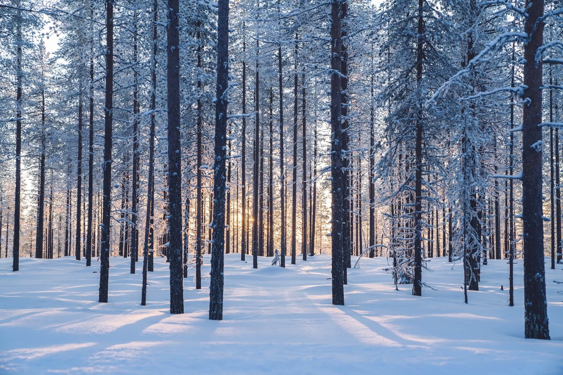 Paris Alignment: Strategische Ansätze für Banken zum Erreichen ihrer Klimaziele