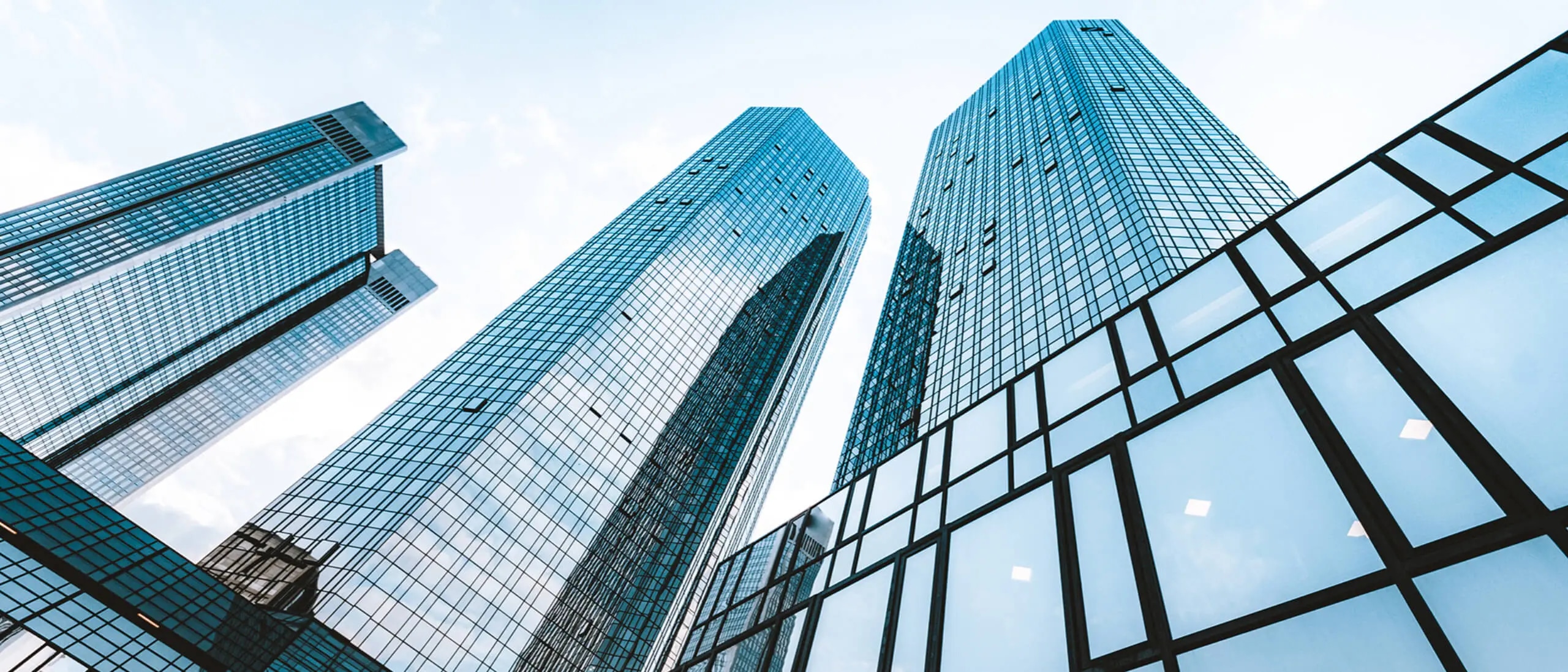 Risikomanagement und Meldewesen aus einer Hand