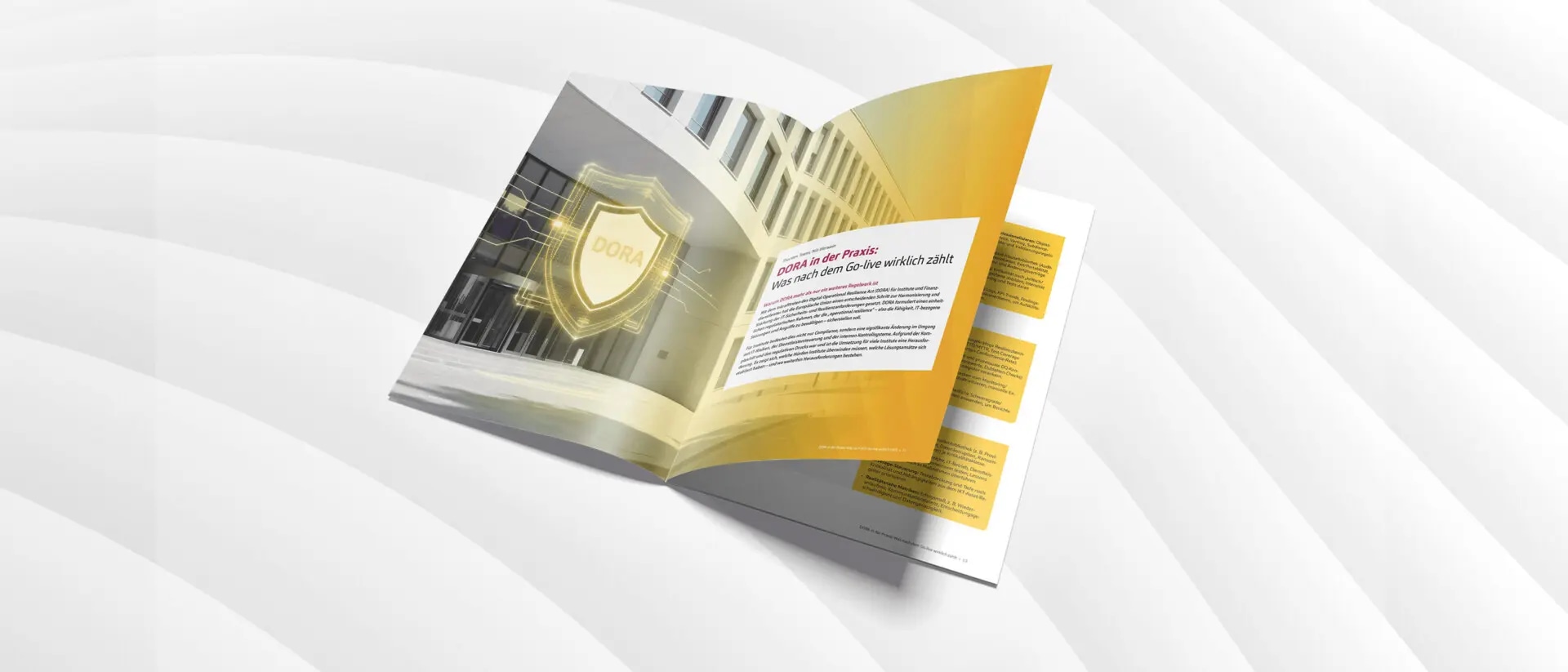 DORA in der Praxis: Was nach dem Go-live wirklich zählt