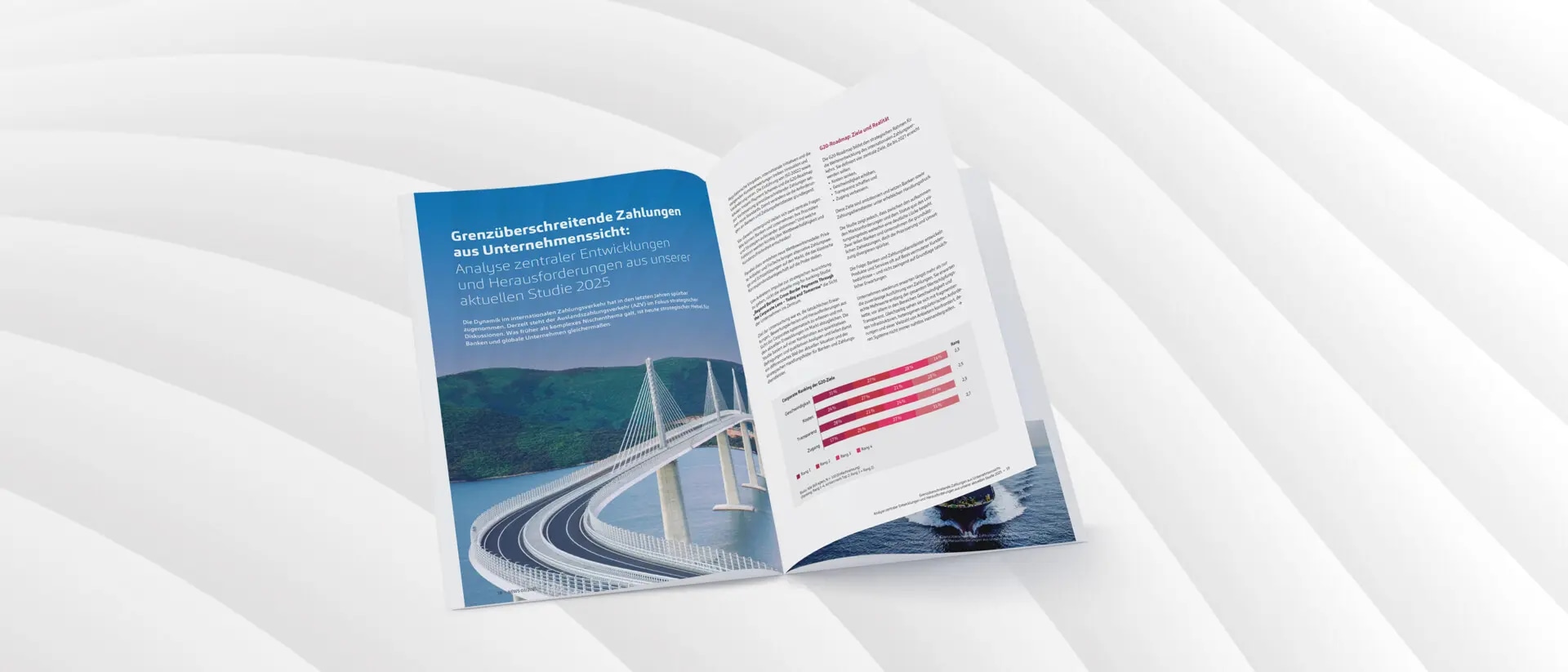 Cross-Border Payments 2025 - Studie zu grenzüberschreitende Zahlungen aus Unternehmenssicht